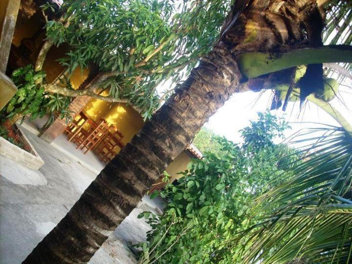Pousada Agua De Coco プラド エクステリア 写真