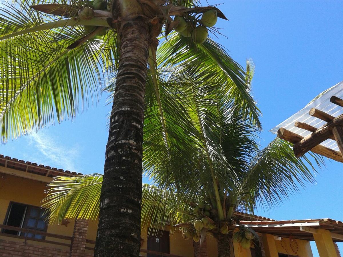 Pousada Agua De Coco プラド エクステリア 写真